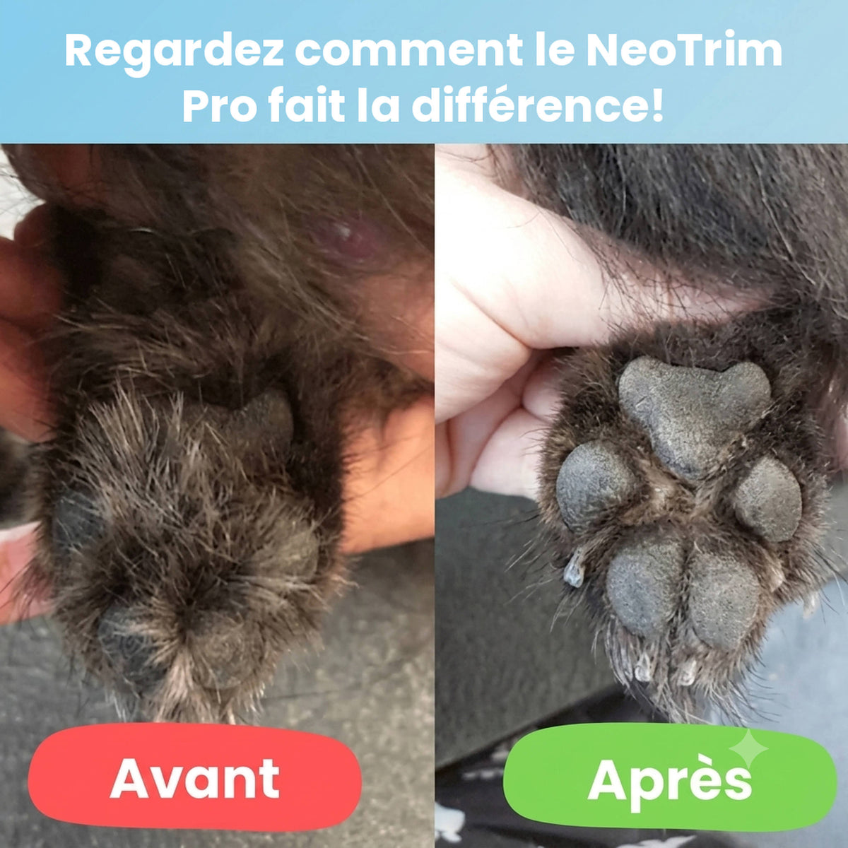 NeoTrim Pro™ - Soin des pattes sans douleur en quelques secondes